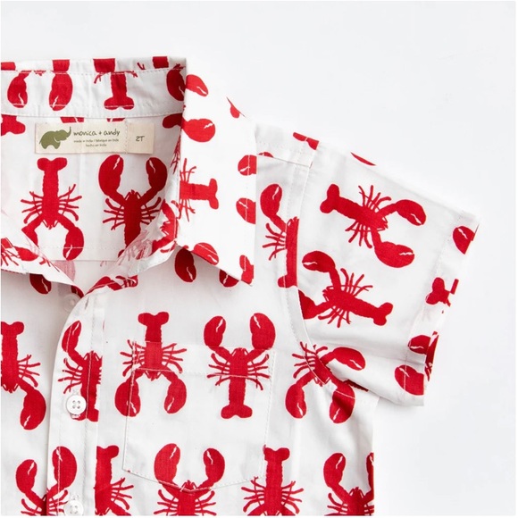 4/$20 🦞 Organic Cotton Short Sleeve Oxford Shirt - Picture 2 of 6